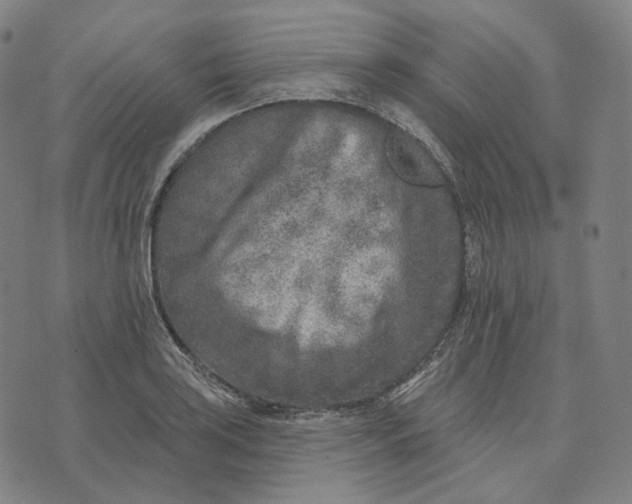 X0000071801035200607211642