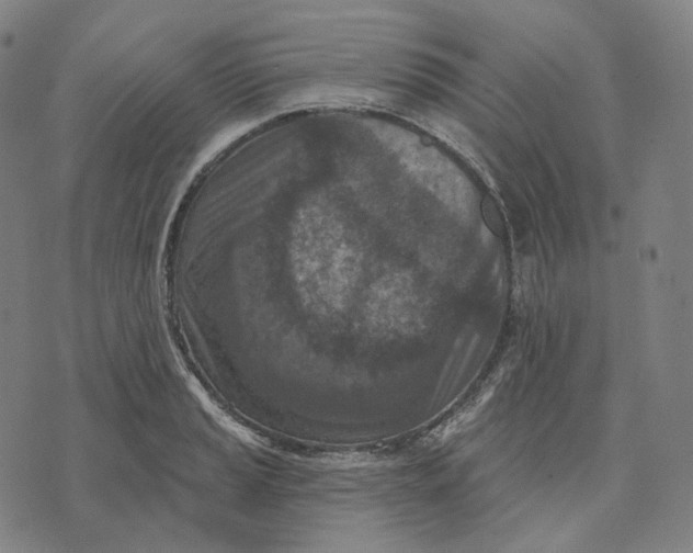 X0000071801037200607211642