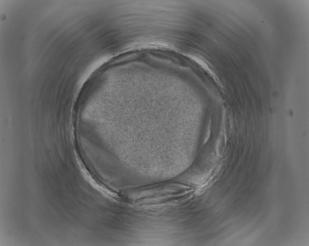 X0000071801038200607211642