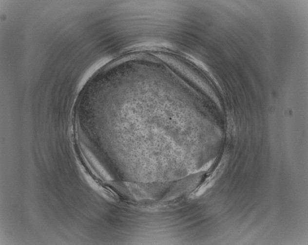 X0000071801042200607211642