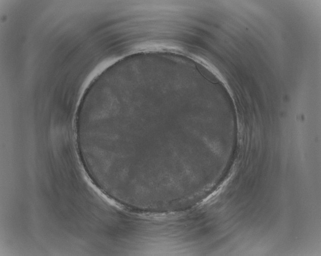 X0000071801045200607211642