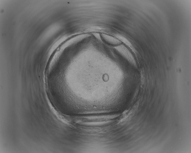 X0000071801047200607211642