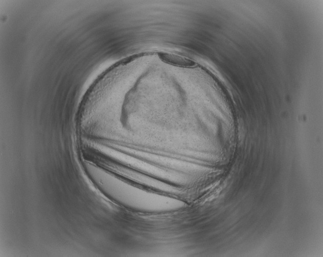 X0000071801048200607211642