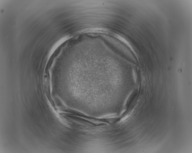 X0000071801050200607211642