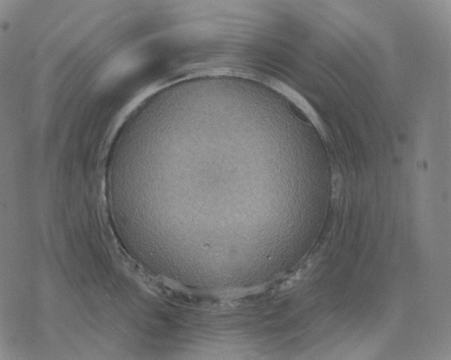 X0000071801051200607211642