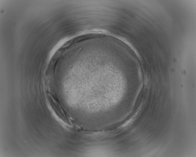 X0000071801054200607211642