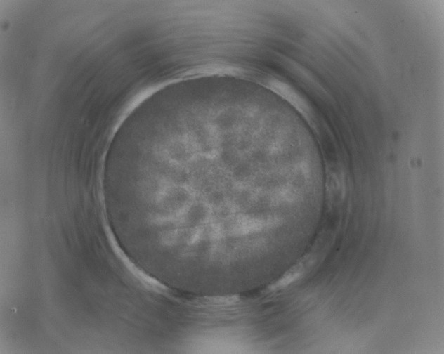 X0000071801055200607211642