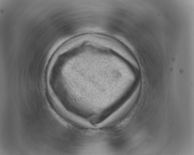 X0000071801056200607211642