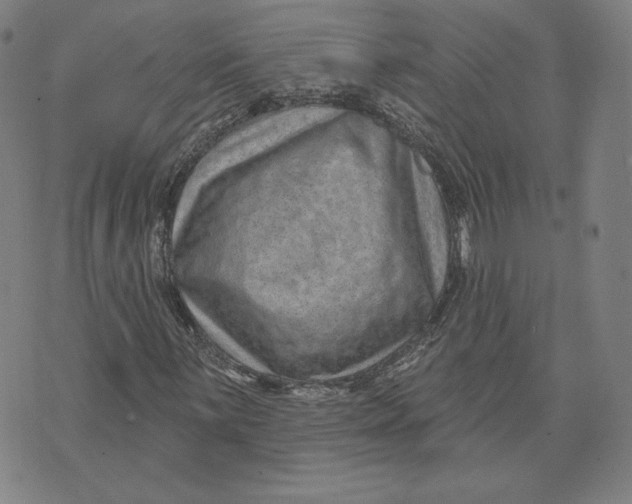 X0000071801059200607211641