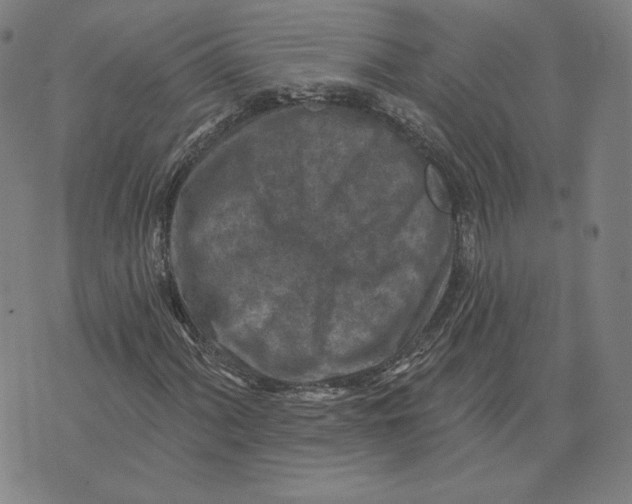 X0000071801060200607211641