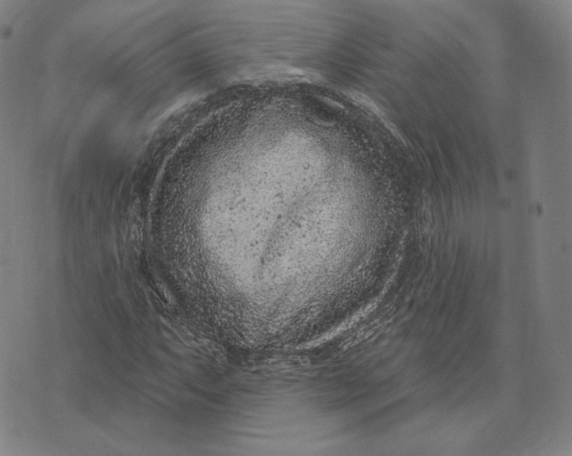 X0000071801063200607211641