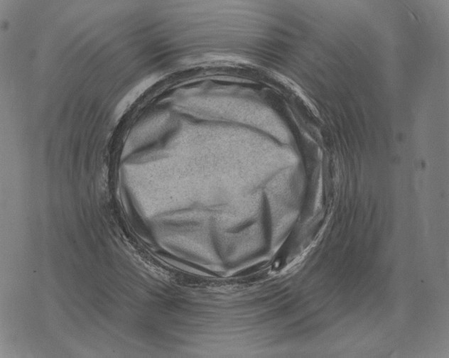 X0000071801066200607211641