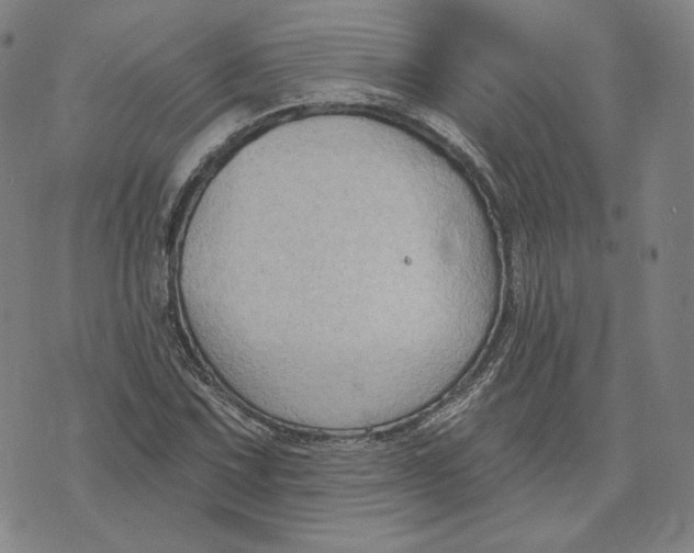 X0000071801067200607211641