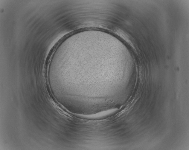 X0000071801068200607211641