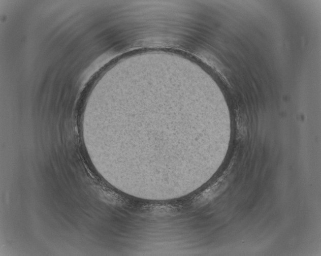 X0000071801070200607211641