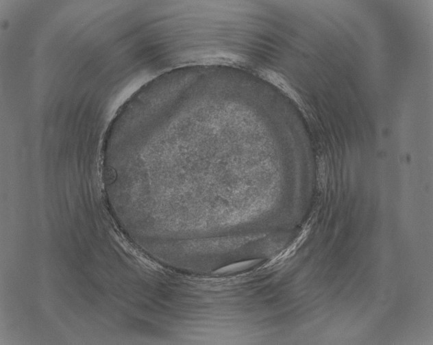 X0000071801071200607211641