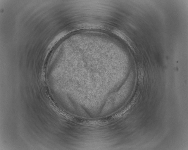 X0000071801074200607211641