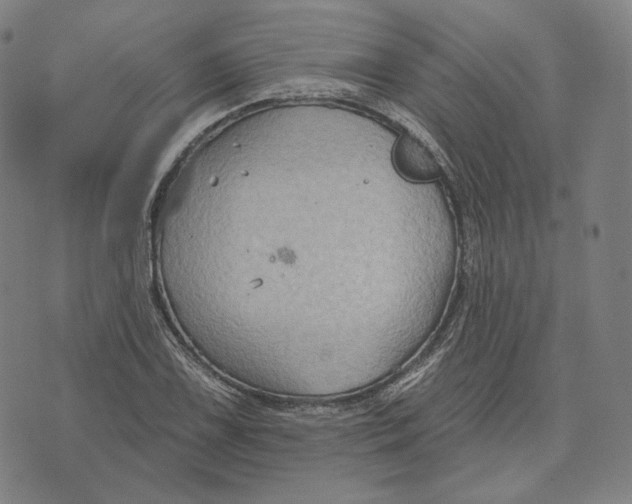 X0000071801075200607211641