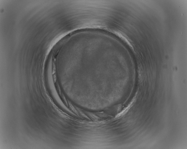 X0000071801077200607211641