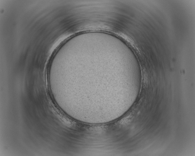 X0000071801078200607211641