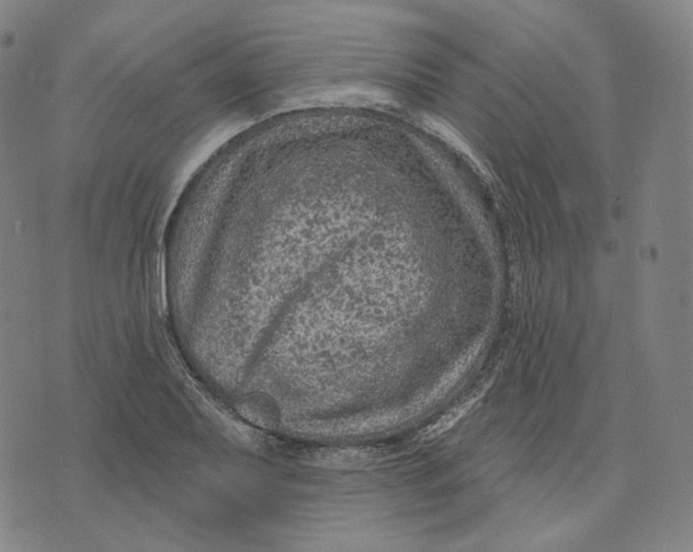 X0000071801079200607211641