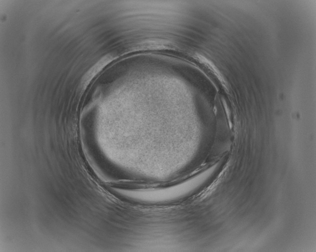 X0000071801081200607211641