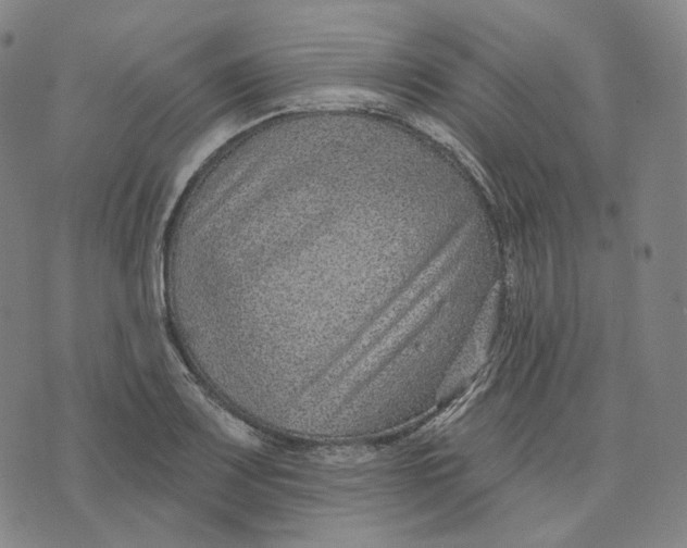 X0000071801083200607211641