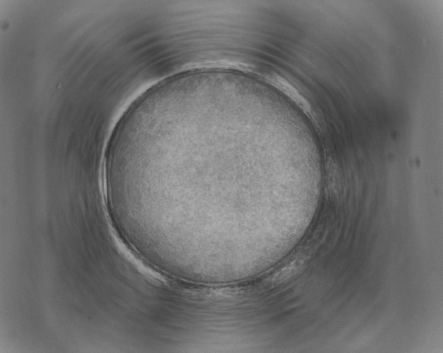 X0000071801084200607211641