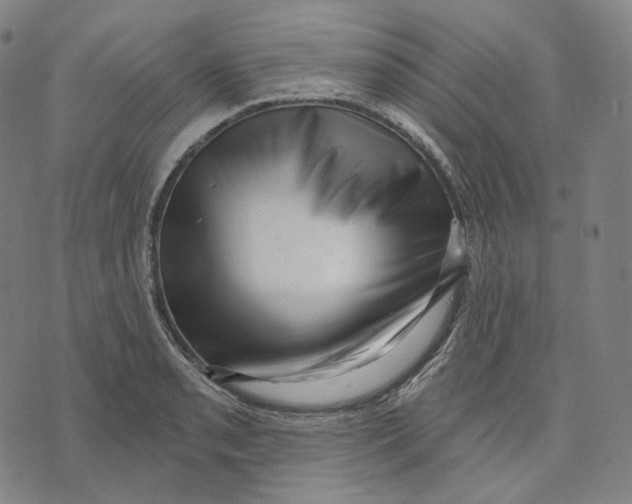 X0000071801085200607211641