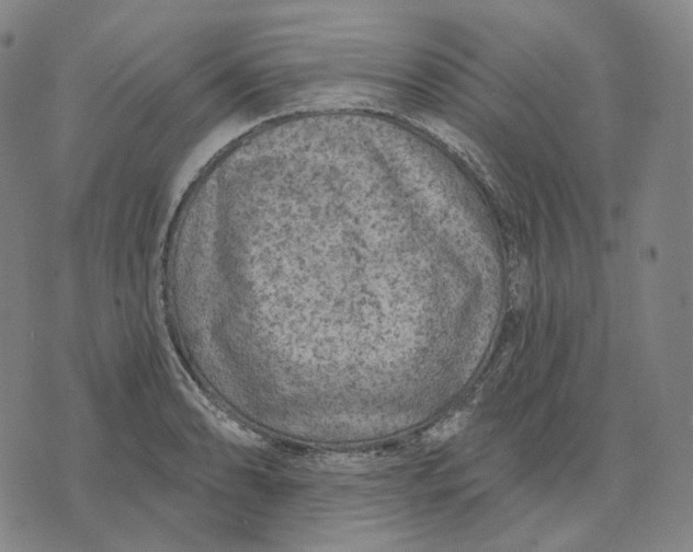 X0000071801086200607211641