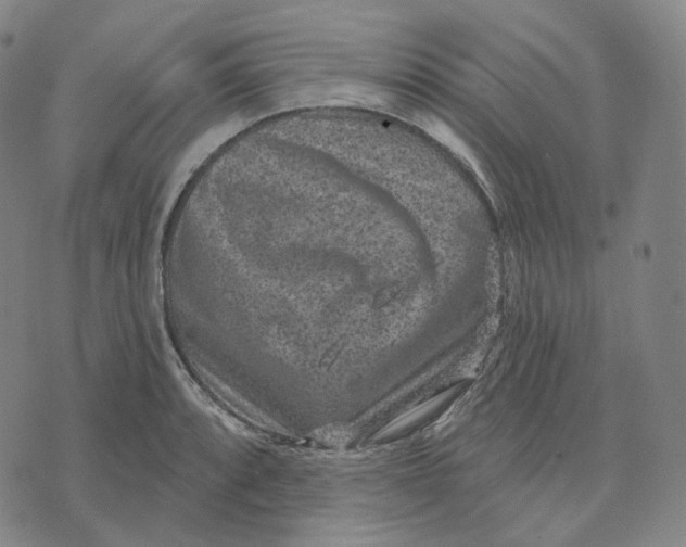 X0000071801088200607211641