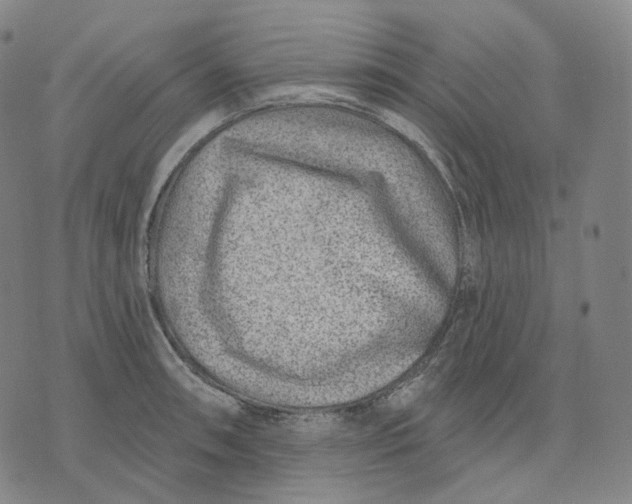 X0000071801090200607211641