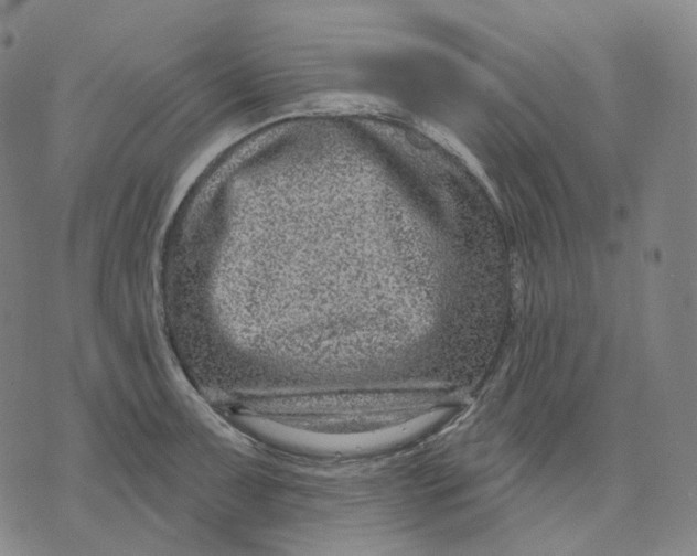 X0000071801091200607211641