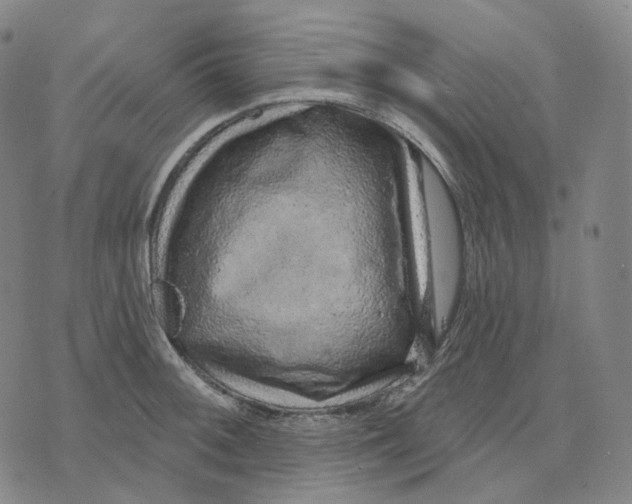 X0000071801092200607211641