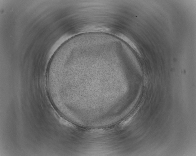 X0000071801094200607211641