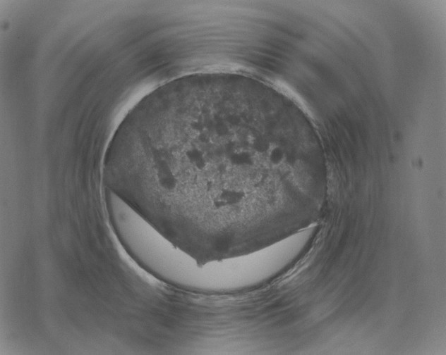 X0000071801095200607211641