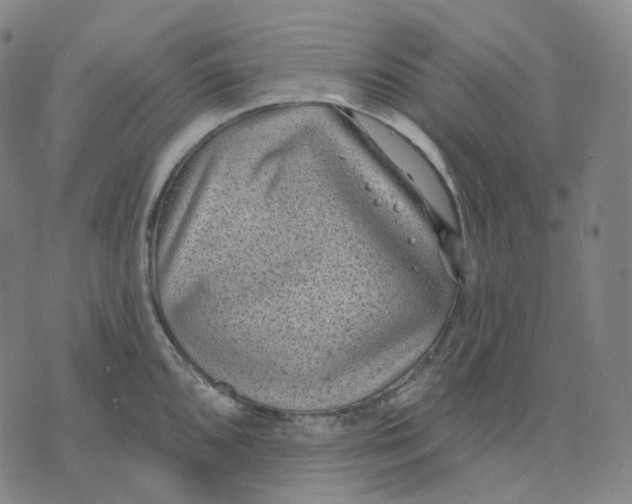 X0000071801096200607211641