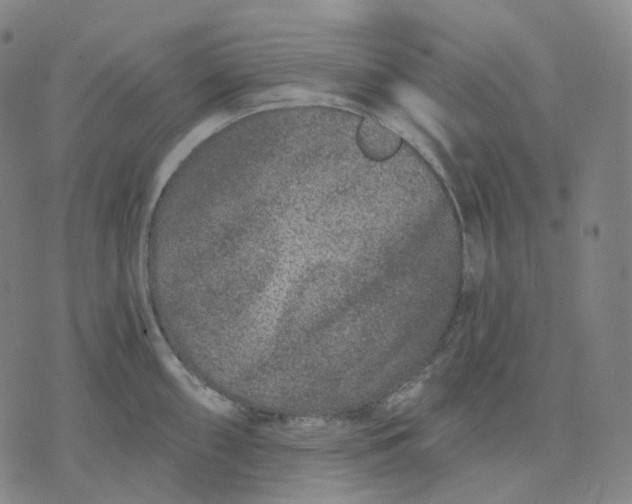 X0000071801098200607211641