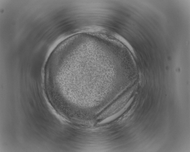 X0000071801099200607211641