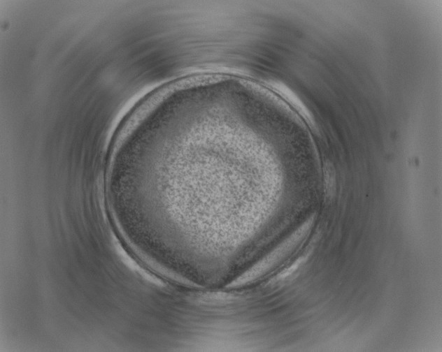 X0000071801100200607211641