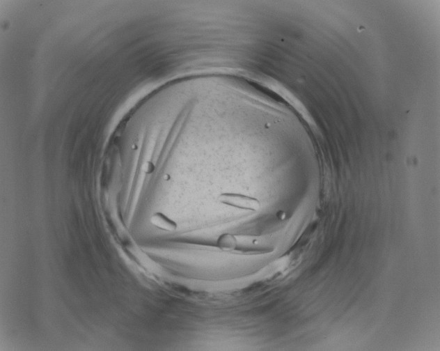 X0000071801101200607211641