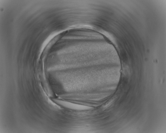 X0000071801102200607211641