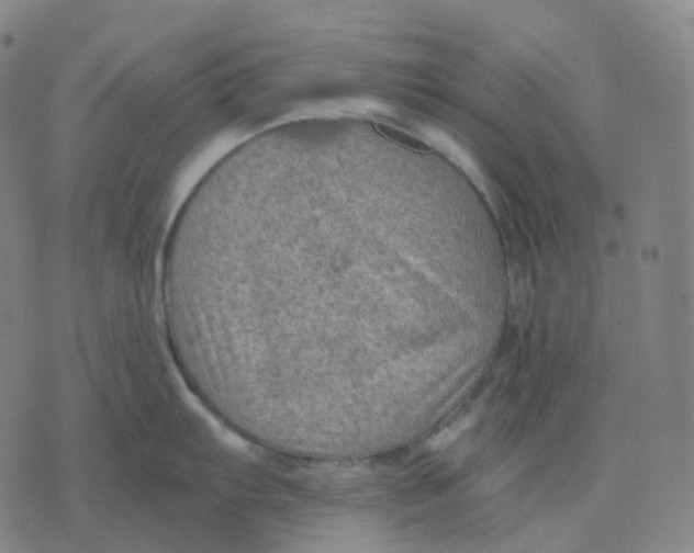 X0000071801103200607211641