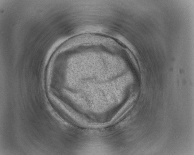 X0000071801104200607211641