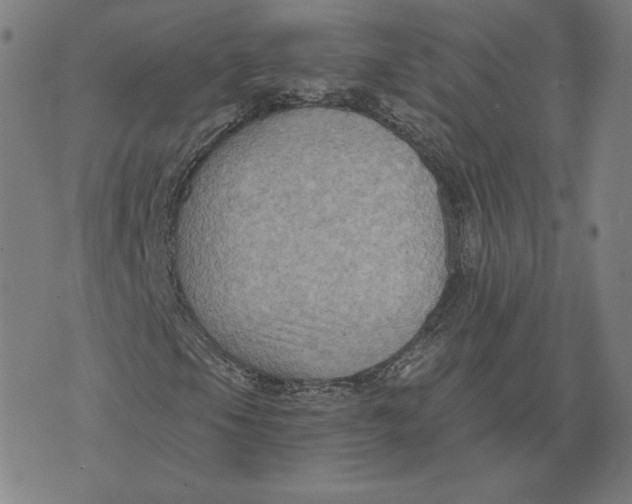 X0000071801105200607211640