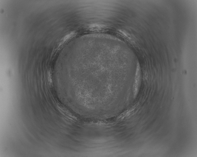 X0000071801106200607211640