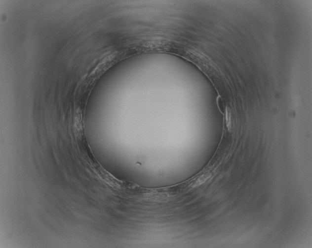 X0000071801107200607211640