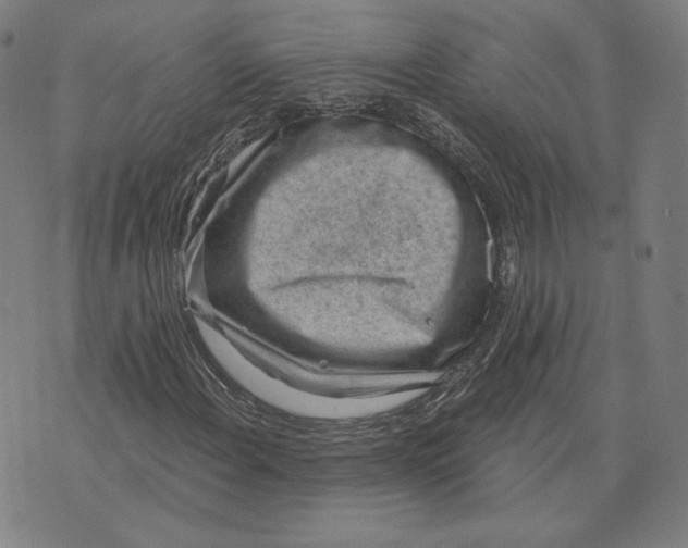 X0000071801108200607211640