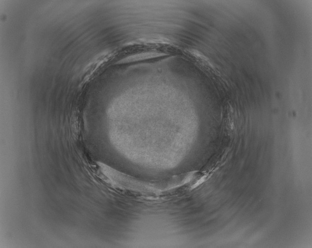 X0000071801110200607211640