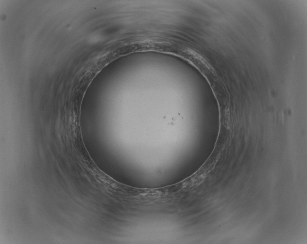 X0000071801111200607211640